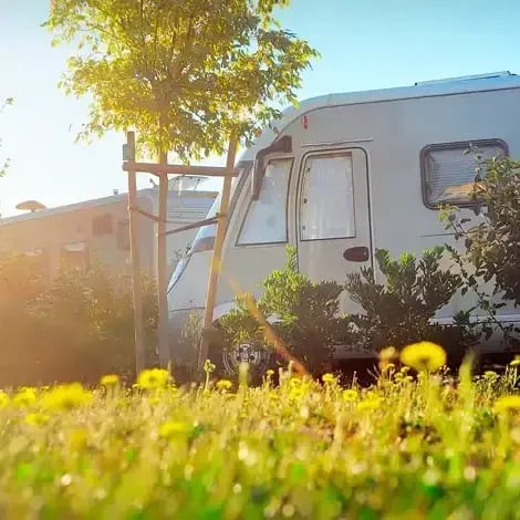camping-and-caravanning (1)-1