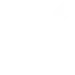 focus-issues-icon