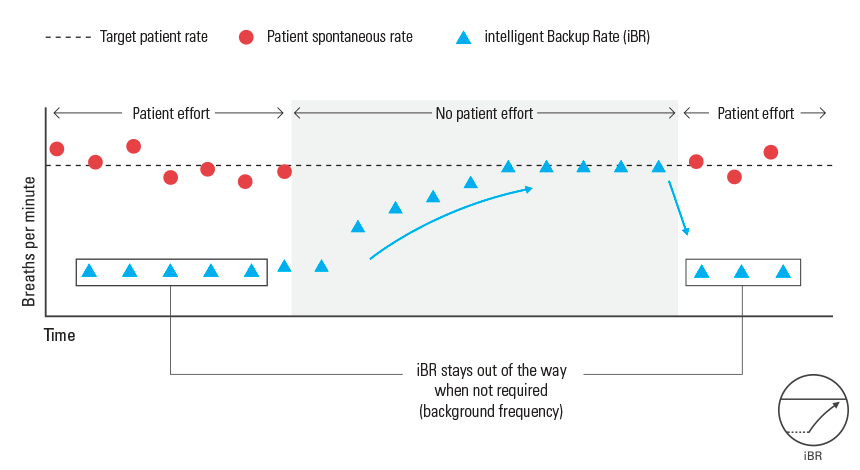 iBR