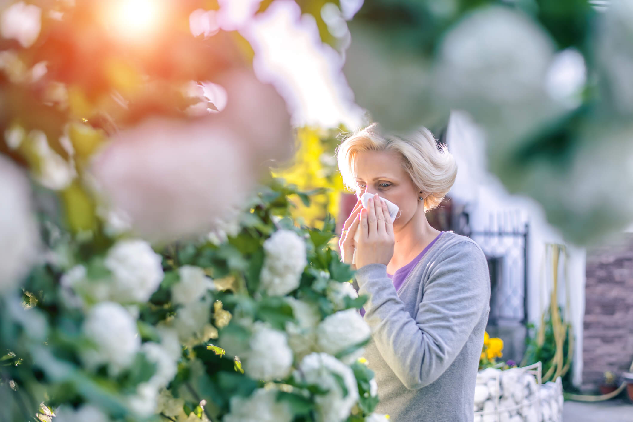 hay fever